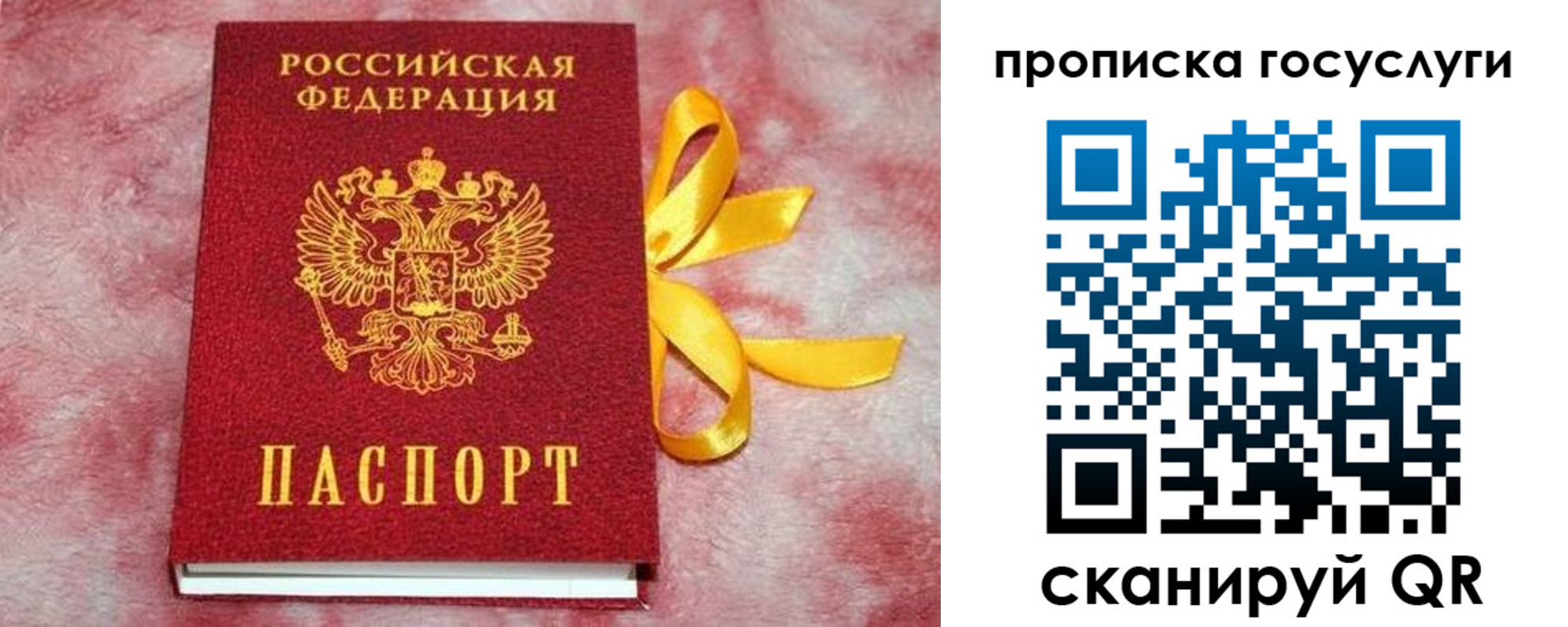 прописка законно в Сунже